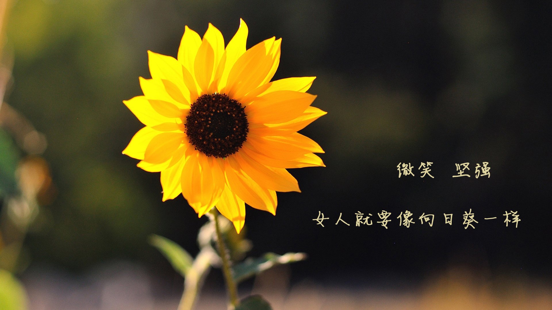 中小学篮球课程内容不断丰富提升学生篮球综合素养，中小学篮球教学方法