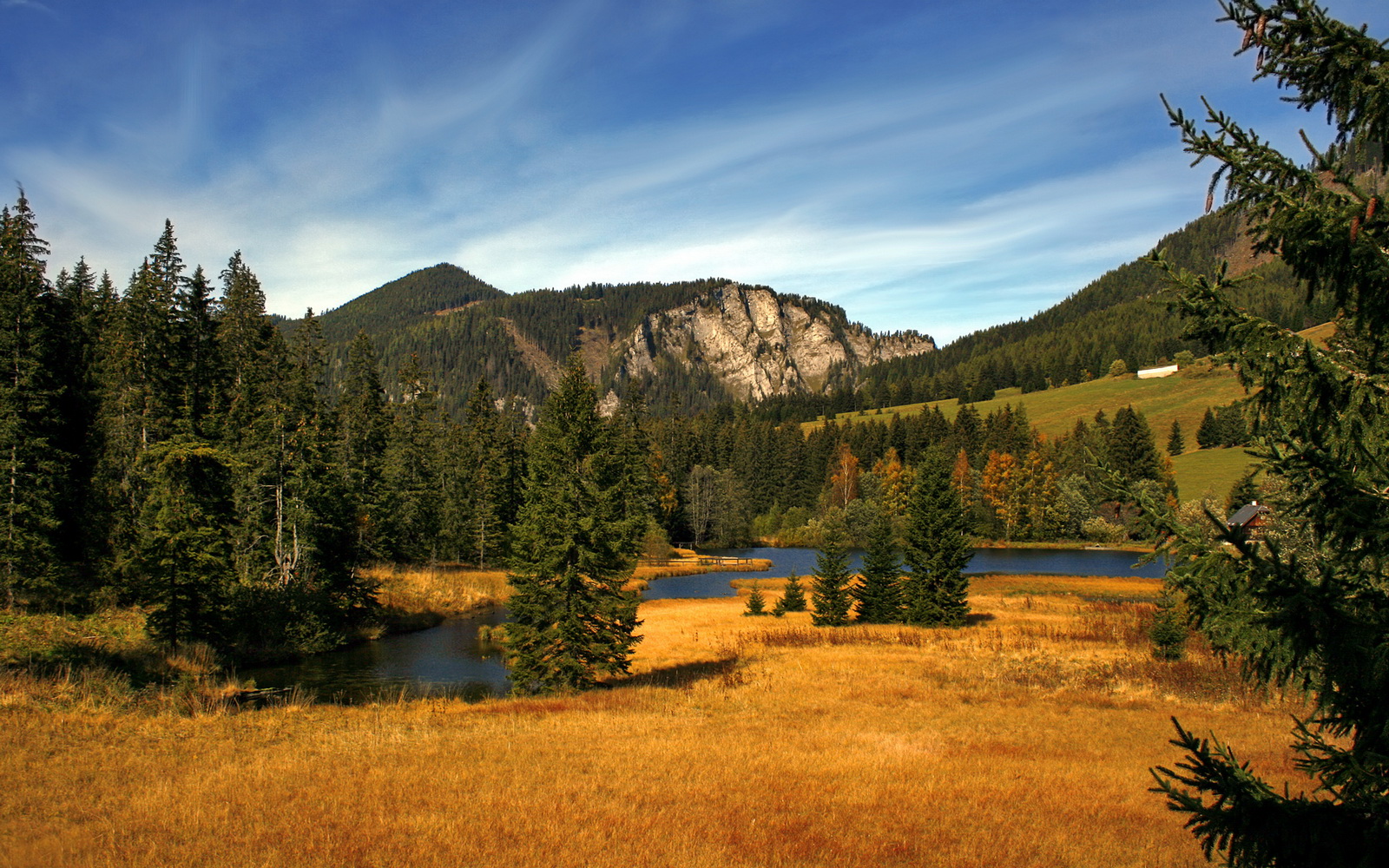 中小学篮球课程内容不断丰富提升学生篮球综合素养，中小学篮球教学方法