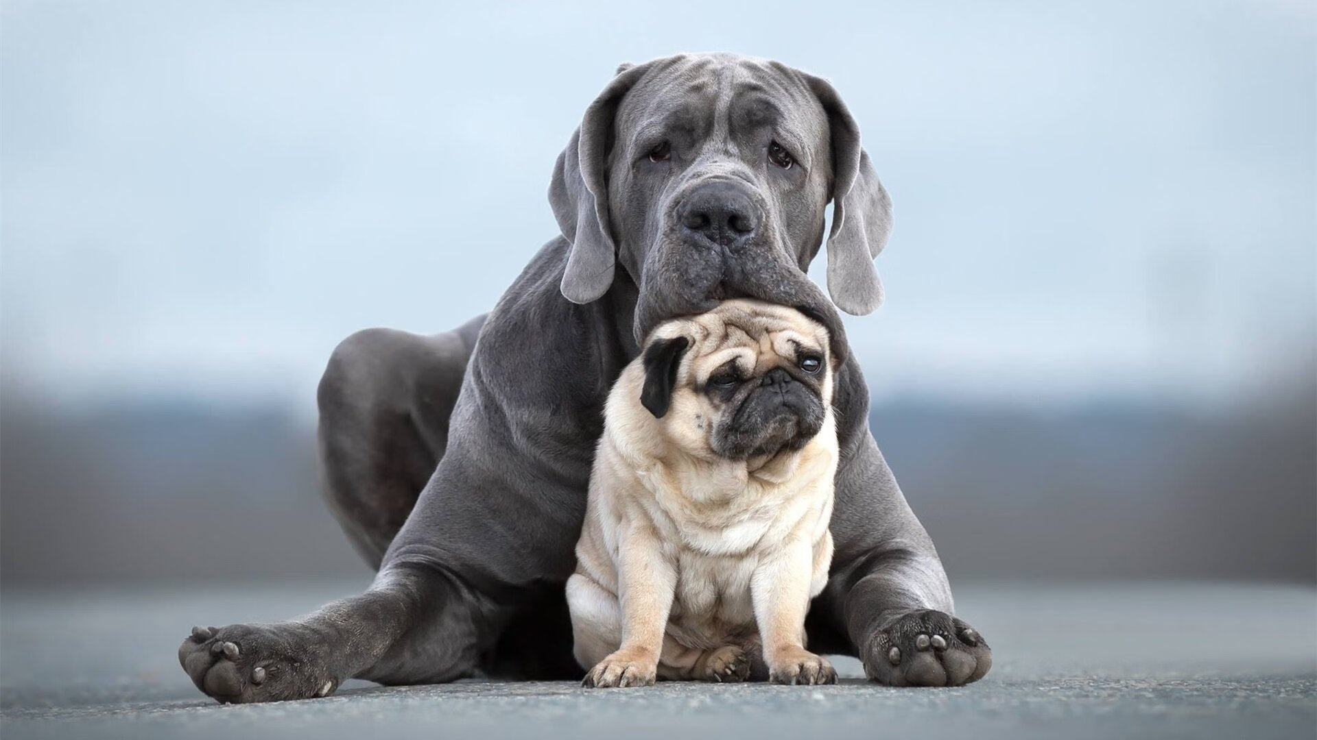 体育产业发展新机遇探讨，体育产业新发展格局