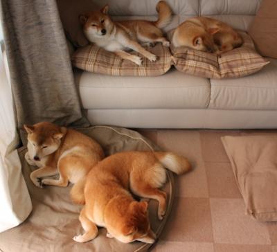 法甲Alt未来之星：新秀崛起，未来领军！，世界足坛未来之星