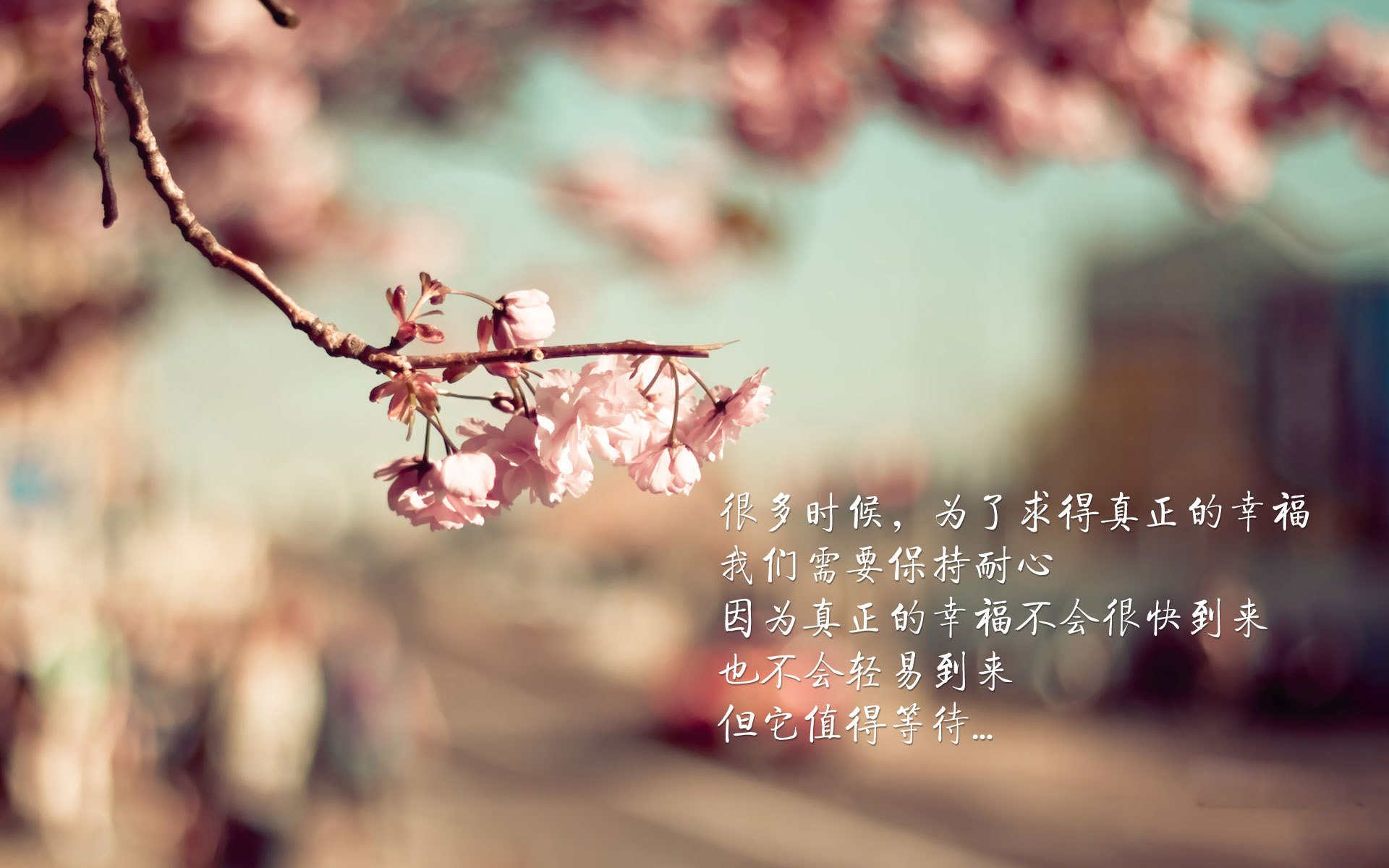 华体会手机在线-爵士老将表现稳定为队内树立榜样，爵士队的