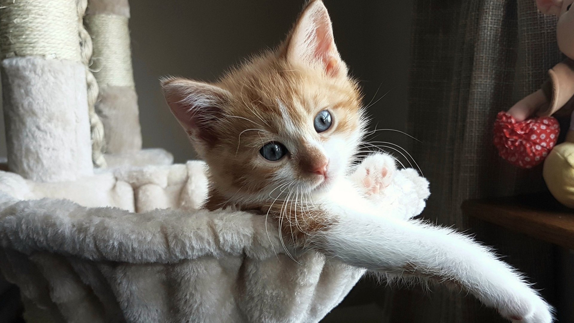 球员挑战高强度训练自我突破展现不服输的职业拼搏精神，职业球员训练强度多大