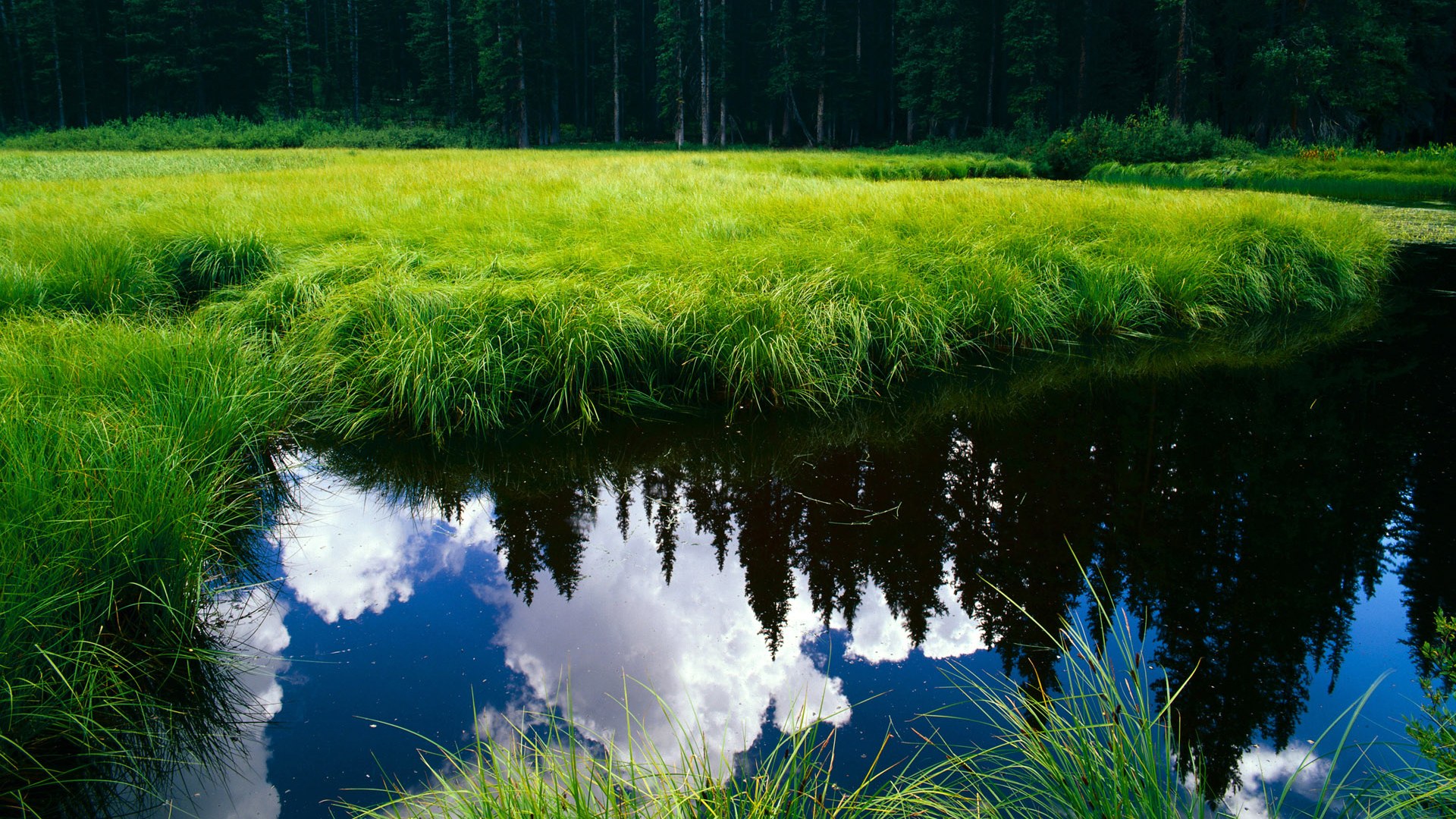 华体会官网入口-Samantha Clark 攻守兼备，表现全面